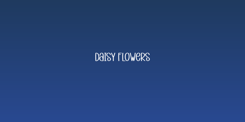 Daisy Flowers Social Header