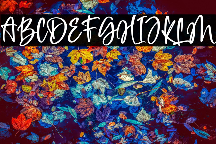 Daisy Girl Example 3