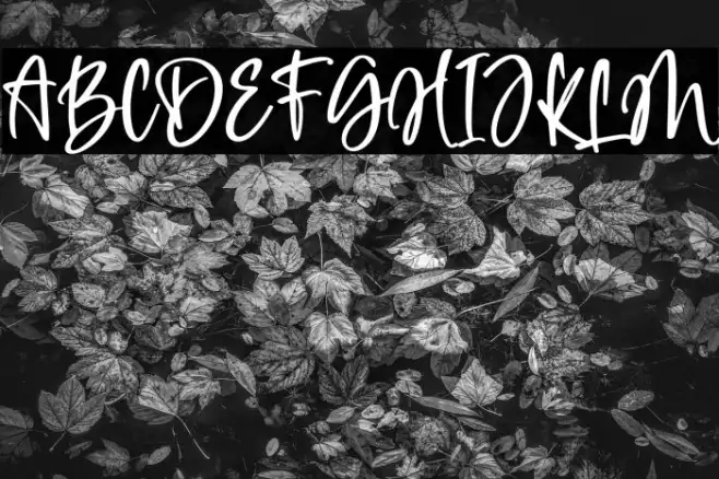 Daisy Girl Example 3