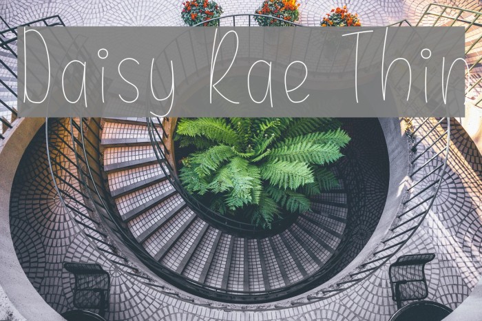 Daisy Rae Thin Font examples