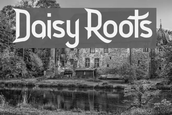 Daisy Roots Example 3