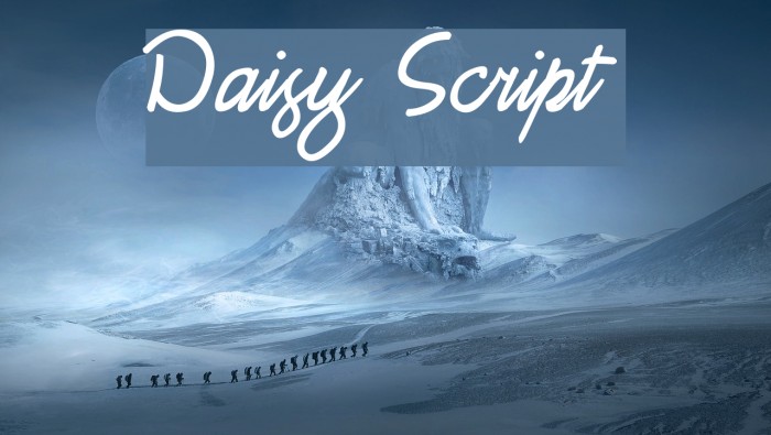 Daisy Script Font examples
