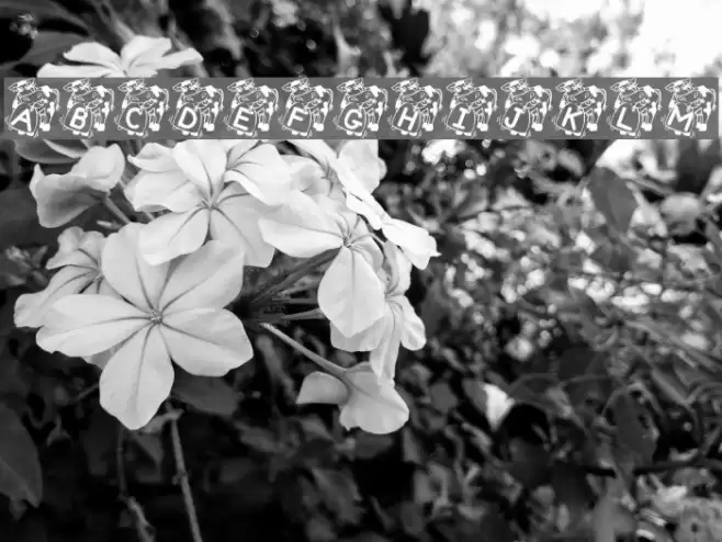 DaisyBell Font examples