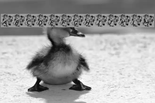 DaisyBell Font examples