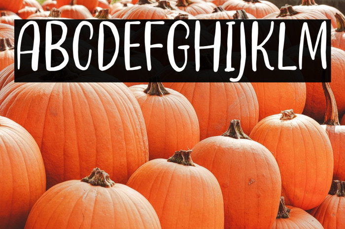 DaisyLovers-Regular Example 1