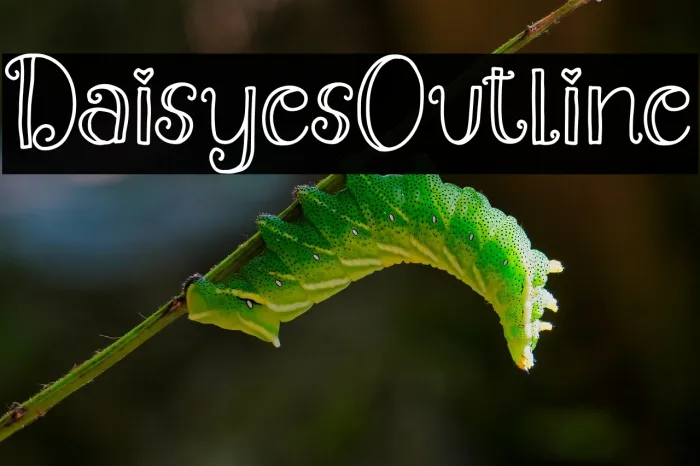 Daisyes Outline Example 1
