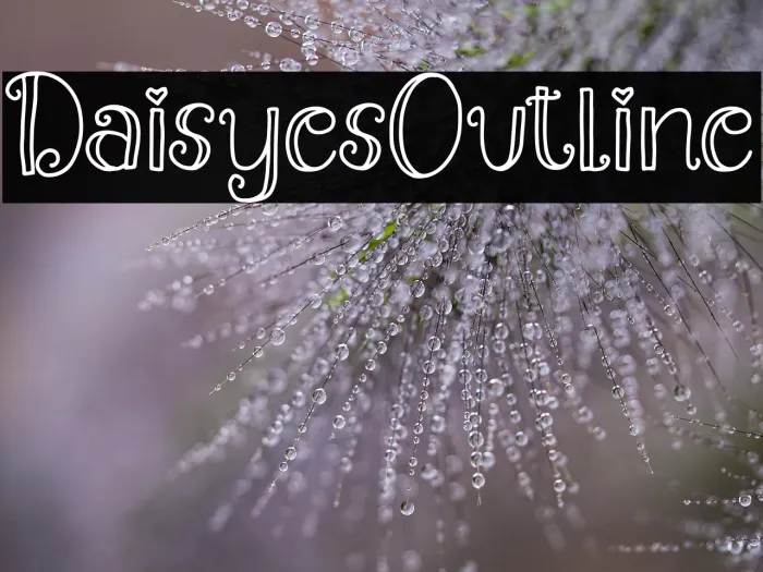 Daisyes Outline Example 2