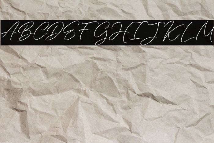 DaisyrainFREE Example 2