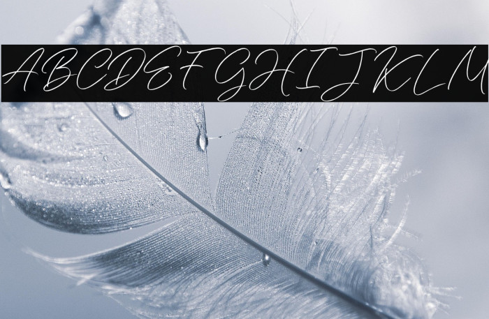 DaisyrainFREE Example 3