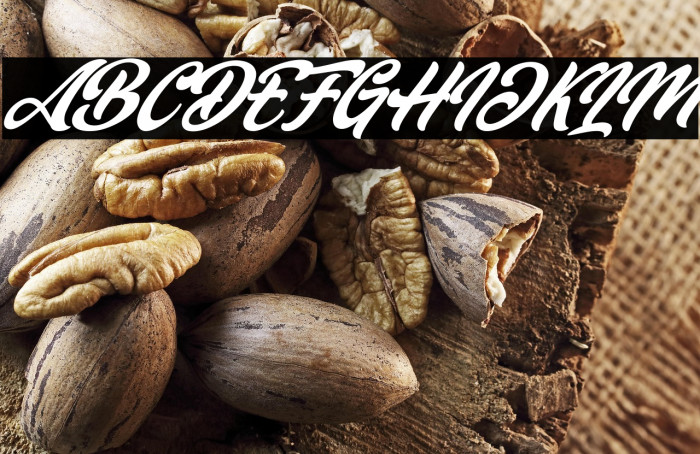 Dakiens Italic Example 2