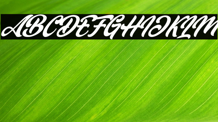 Dakiens Italic Example 3