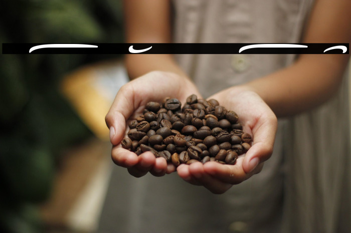 Dakiens Swash Example 2