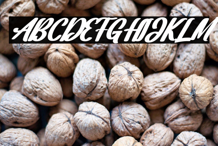 Dakota Artha Italic Example 1