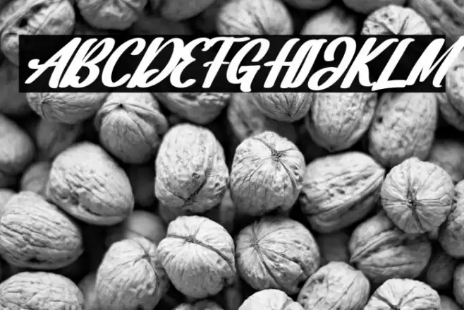 Dakota Artha Italic Font examples