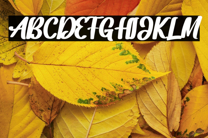 Dakota Artha Example 1