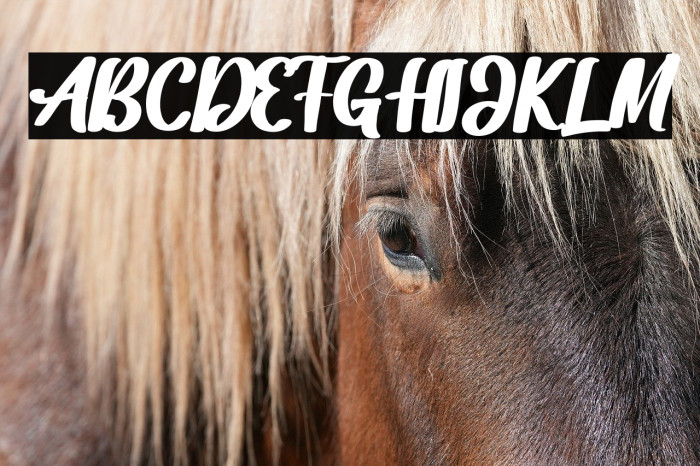 Dakota Artha Example 3