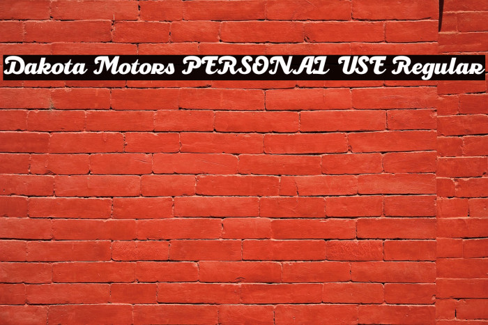 Dakota Motors PERSONAL USE Regular Example 1