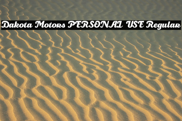 Dakota Motors PERSONAL USE Regular Example 2
