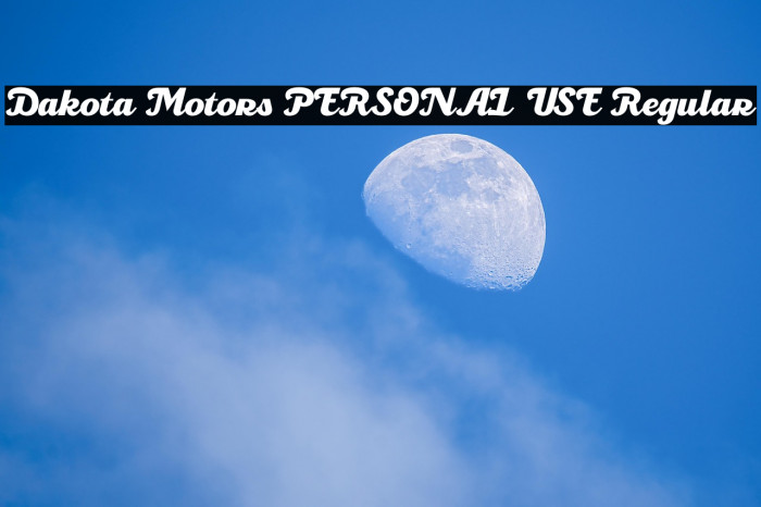 Dakota Motors PERSONAL USE Regular Example 3