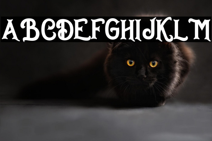 Dakota Regular Example 3