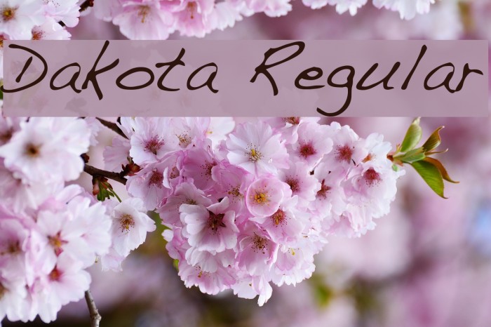 Dakota Regular Example 3