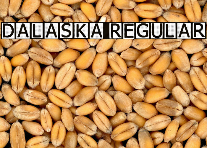 Dalaska Regular Example 2