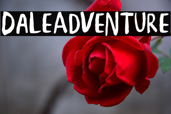 DaleAdventure Example 1