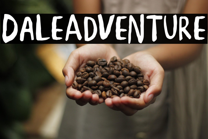 DaleAdventure Example 3