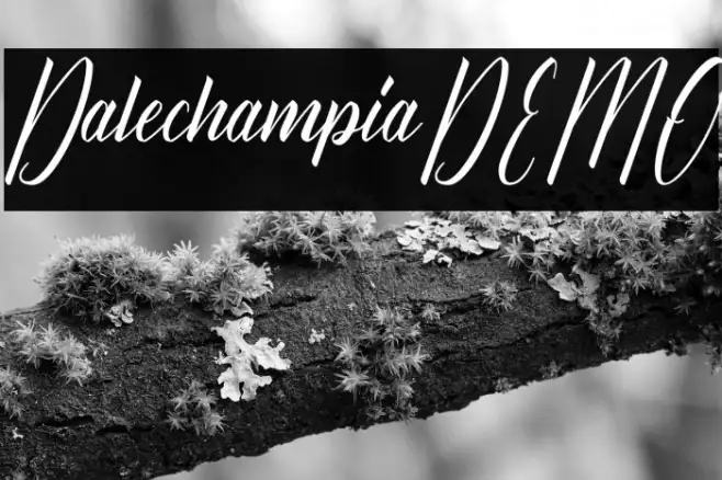Dalechampia-DEMO Example 2