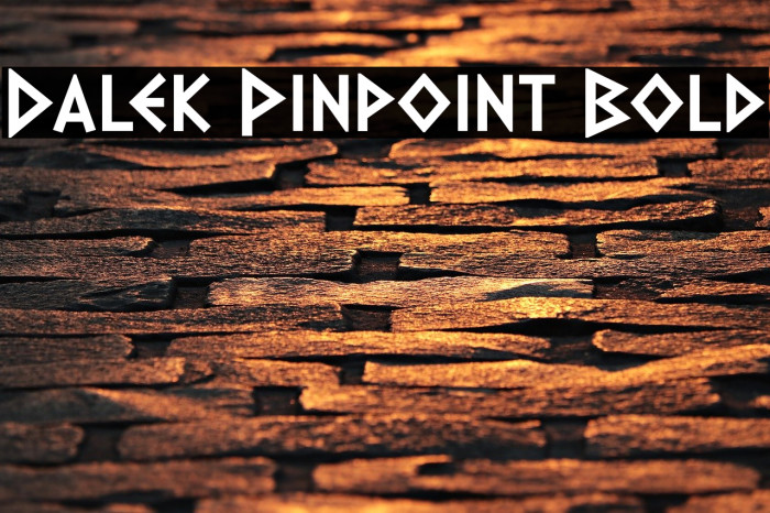 Dalek Pinpoint Bold Font examples