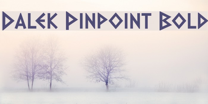 Dalek Pinpoint Bold Font examples