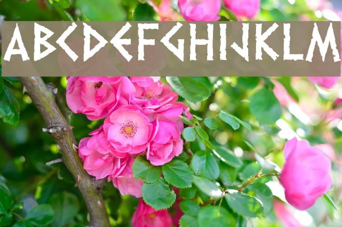 Dalek Font examples