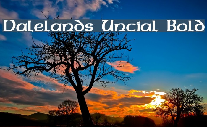 Dalelands Uncial Bold Font examples