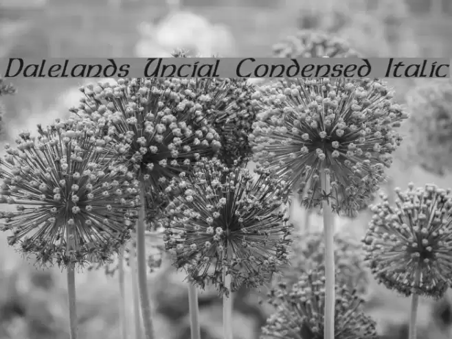 Dalelands Uncial Condensed Italic Font examples
