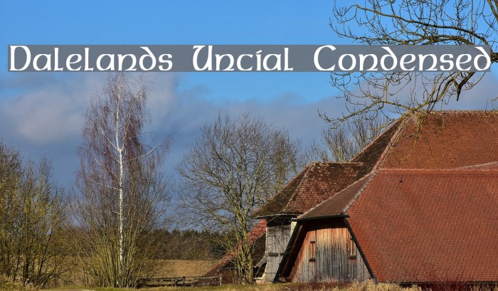 Dalelands Uncial Condensed Font examples