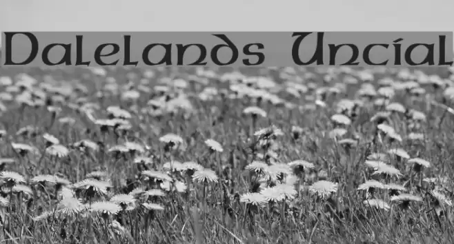 Dalelands Uncial Font examples