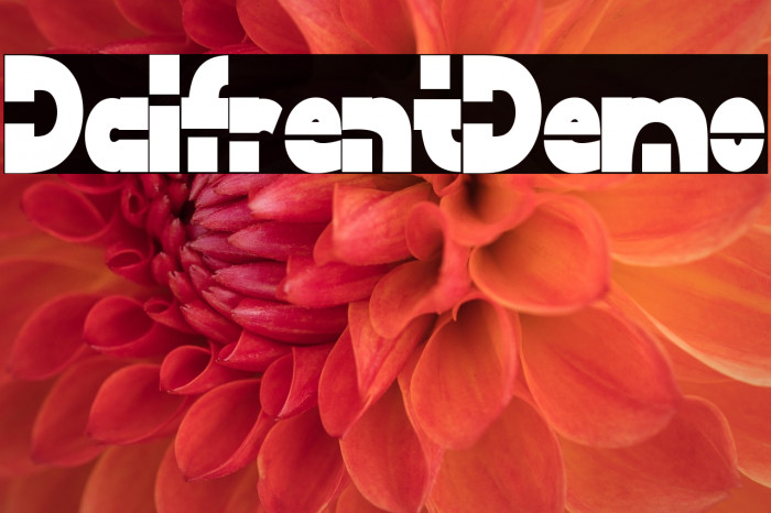 Dalfrent Demo Example 1