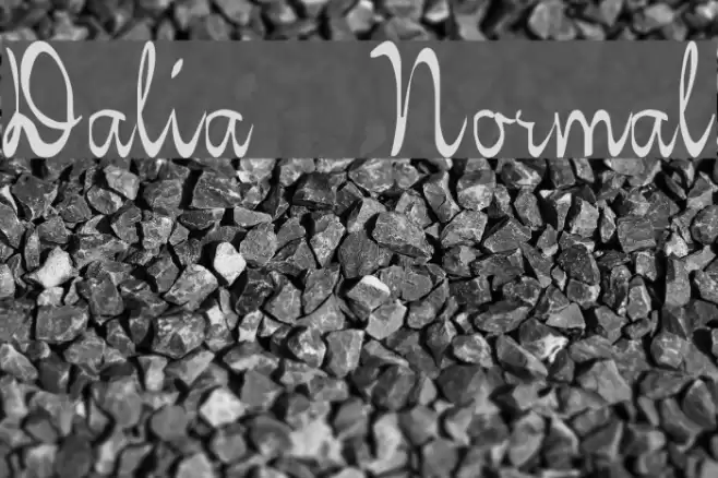 Dalia Normal Font examples