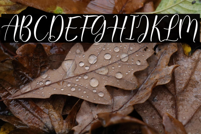 Daligona_DEMO Example 2