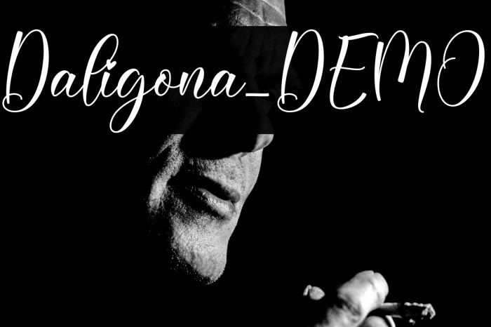 Daligona_DEMO Example 2