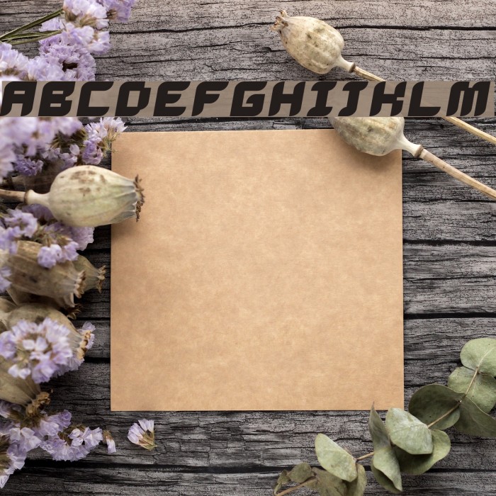 Dalila Bold Oblique Font examples