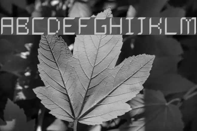 Dalila Light Font examples