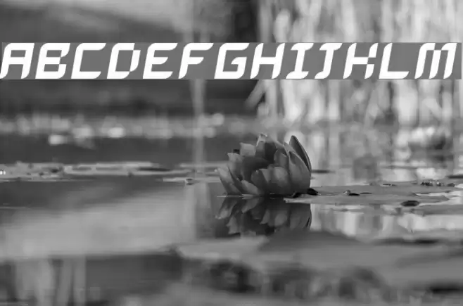 Dalila Oblique フォント examples