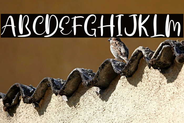 Dalillah Demo Example 1