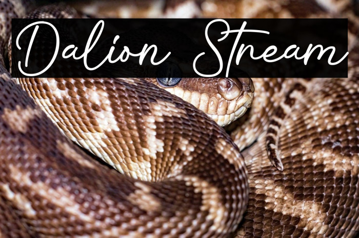 Dalion Stream Example 2