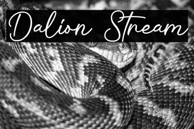 Dalion Stream Example 2