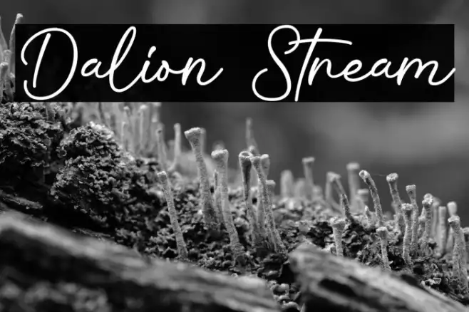 Dalion Stream Example 3