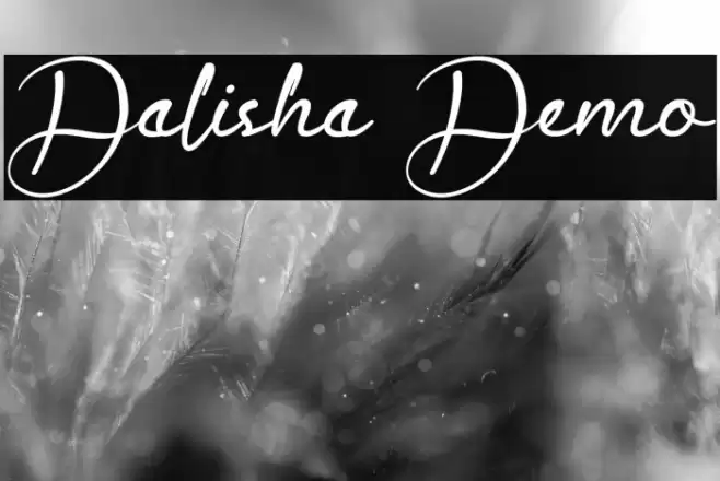Dalisha Demo Font examples