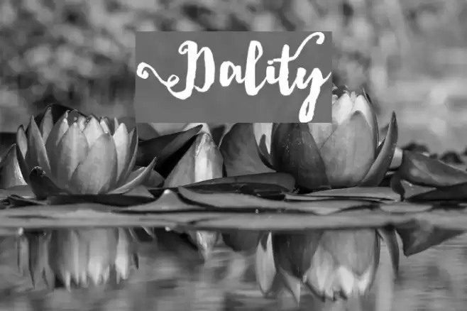 Dality Font examples