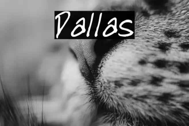 Dallas Fonte examples